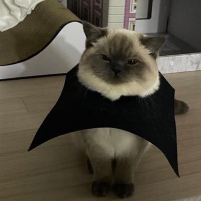 scoobytheiff's profile picture. remind me to forgett