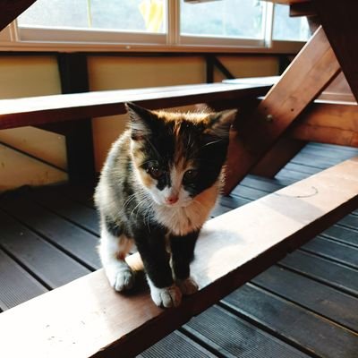 milky_way4680's profile picture. 