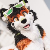 KLEE KAII(@kleekaiihusky) 's Twitter Profileg