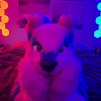 Seby yoshi (@sebyyoshi) 's Twitter Profile