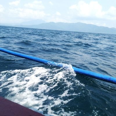 kukanglari's profile picture. 🐣