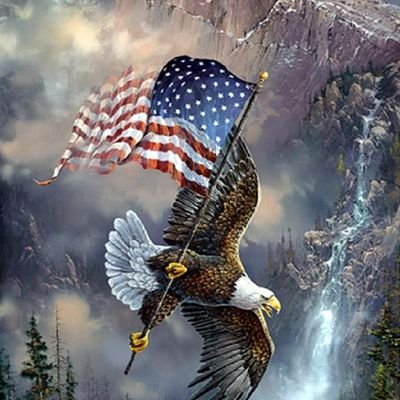 Conservative,  Christian, True Patriot,  Love for our Country  🇺🇸🇺🇸🇺🇸 #MAGA
#Trump is my President