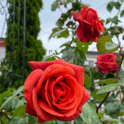 happyharu313's profile picture. RAPT理論が世に広まる事を願って2018/8月に開設し二度の凍結に合う。無神論から抜け出して唯一の神様に繋がれる方法をこの世に広めたい。競技を始めて10年、神様が与えて下さった最高の芸術であるこの体を機能的且つしなやかに使って強く健康に生きられる事を、そして個性才能を磨いて神様の栄光をこの世に示したい！