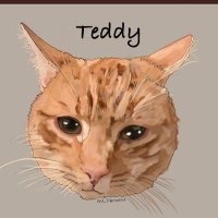 Teddy 🦁(@Teddytabbycat1) 's Twitter Profile Photo