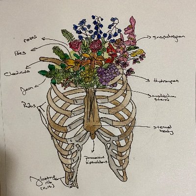 drtnt13's profile picture. mom of 2 (a 👧and a 🐈)/ wife /medical doctor @Istanbul
İnstagram @bugunbunuokuduk
#pediatrics
#pediatrichematologyoncology
#illustration🎈
