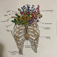 Bugunbunuokuduk (@drtnt13) 's Twitter Profile