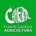 AgricolturaCanfora (@agricoltcanfora) Twitter profile photo AgricolturaCanfora (@agricoltcanfora) Twitter profile photo