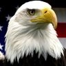 eagleyepatriot1's profile picture. 🇺🇸Trumplican-AmericaFirst-MAGA/MAHA-Loves Golf-Freedom-1A-2A🦅47🐐🇺🇸