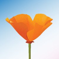 Cal, the Artist (@califormetry) Twitter profile photo