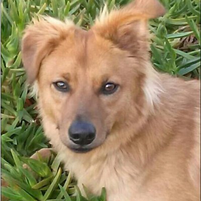 gospelbg_'s profile picture. 