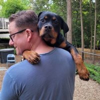 Angry_Joe (@angry_joe1775) 's Twitter Profile