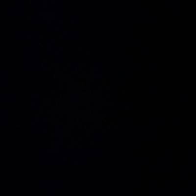 TrevorWynn08's profile picture. 📍NC🇺🇸