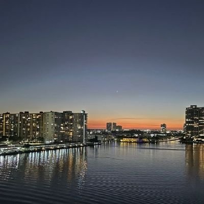 MicheliniLerena's profile picture. La visión se desarrolla sobre sí misma.