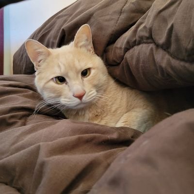 Rio10282's profile picture. ( ~･ω･)~