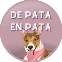De Pata en Pata Panamá(@depataenpata_) 's Twitter Profile Photo