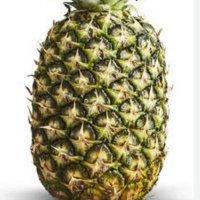 Fabian y andrea (@fabianz62386561) 's Twitter Profile