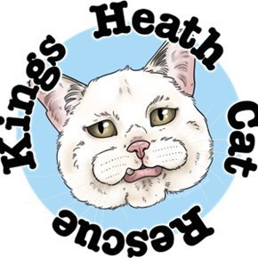 KH_CatClub Profile Picture