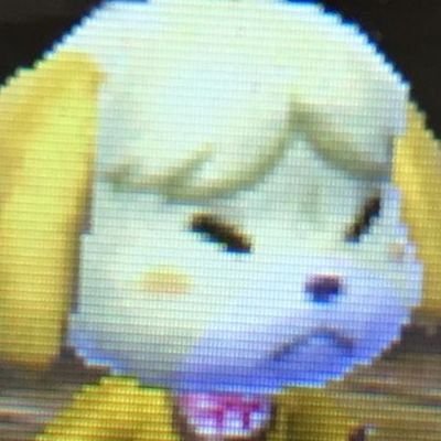 txtdariara's profile picture. its officially 𝙝𝙚𝙧 public diary, so