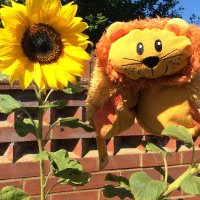 FledglingPoet (@afledglingpoet) 's Twitter Profile