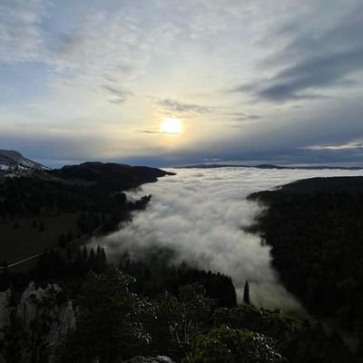 stretchingout's profile picture. 