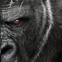 jonathan malbrouck (@bouks438) 's Twitter Profile
