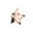 luvhobby's profile image