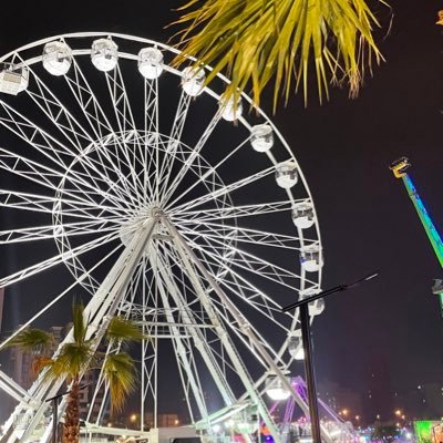 shaha20041's profile picture. 🇵🇸🇰🇼