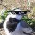 Frank Izaguirre (@birdizlife) Twitter profile photo Frank Izaguirre (@birdizlife) Twitter profile photo