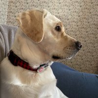 Catherine Cox (@cathycox308) 's Twitter Profile