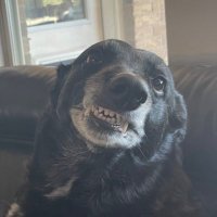 quadsforbroads (@curlsforgurls) 's Twitter Profile