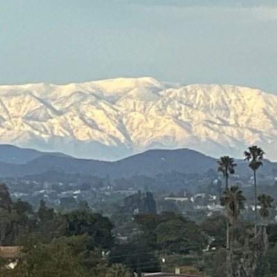 Blessorganic's profile picture.