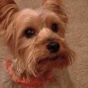 Nancy Aune - @AuneNancy - Twitter