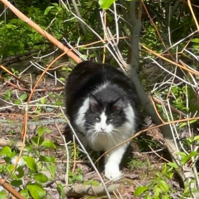 ResistWitch's profile picture. 🌊Animal lover, Bird Watcher, Army Nurse, Unapologetic Liberal, 📚 lover! #FBR #theresistance #voteblue2020