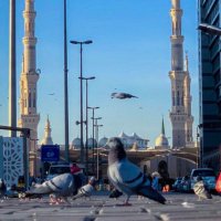 Saltaan Alkabi (@alkabisaltaan) 's Twitter Profile