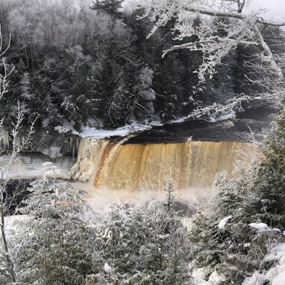 taspencer's profile picture. 