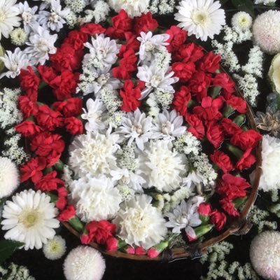 RISKNOTE_NAGOYA's profile picture. ただの覚書きと愚痴のツイートです。好きな物、興味ある事はとことんプッシュします。2018年11月に新しい家族(犬)を迎えました！