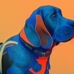 digitalbasset Profile Picture