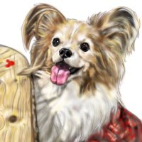 Papillonまま🦋④🦋 (@xgmkj3zkptyxa0z) 's Twitter Profile