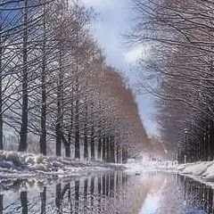 ازشعله عشق هرکه افروخته نیست
با او سرسوزنی دلم دوخته نیست
🍓💯💯Fallow back💯💯🍓