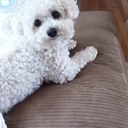 Melissa Meece - @MelissaMeece - Twitter