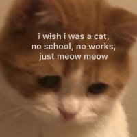 darkness (@littlerabbitmay) 's Twitter Profile