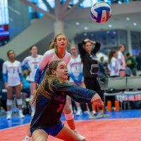 Addison Stepp (@addison_stepp_7) 's Twitter Profile