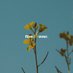 Film All Over (@filmallover) Twitter profile photo Film All Over (@filmallover) Twitter profile photo