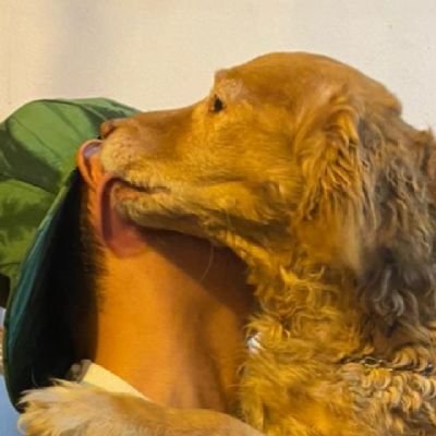 No olvides que el perdón es lo divino y errar suele ser humano.