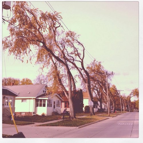 dwharnish's profile picture. 