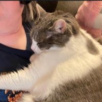 SagelynHearth (@sagelynhearth) 's Twitter Profile