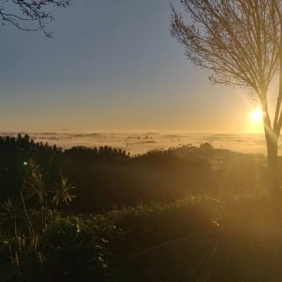 WoemsieP's profile picture. 