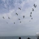 Miranda Byron - @MirandaByron14 - Twitter