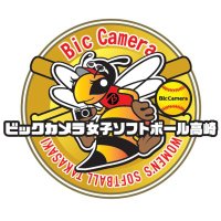 ビックカメラ女子ソフトボール高崎(@bic_beequeen) 's Twitter Profile Photo