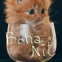 Àngels Massísimo (@angelsmassisimo) 's Twitter Profile Photo Àngels Massísimo (@angelsmassisimo) 's Twitter Profile Photo